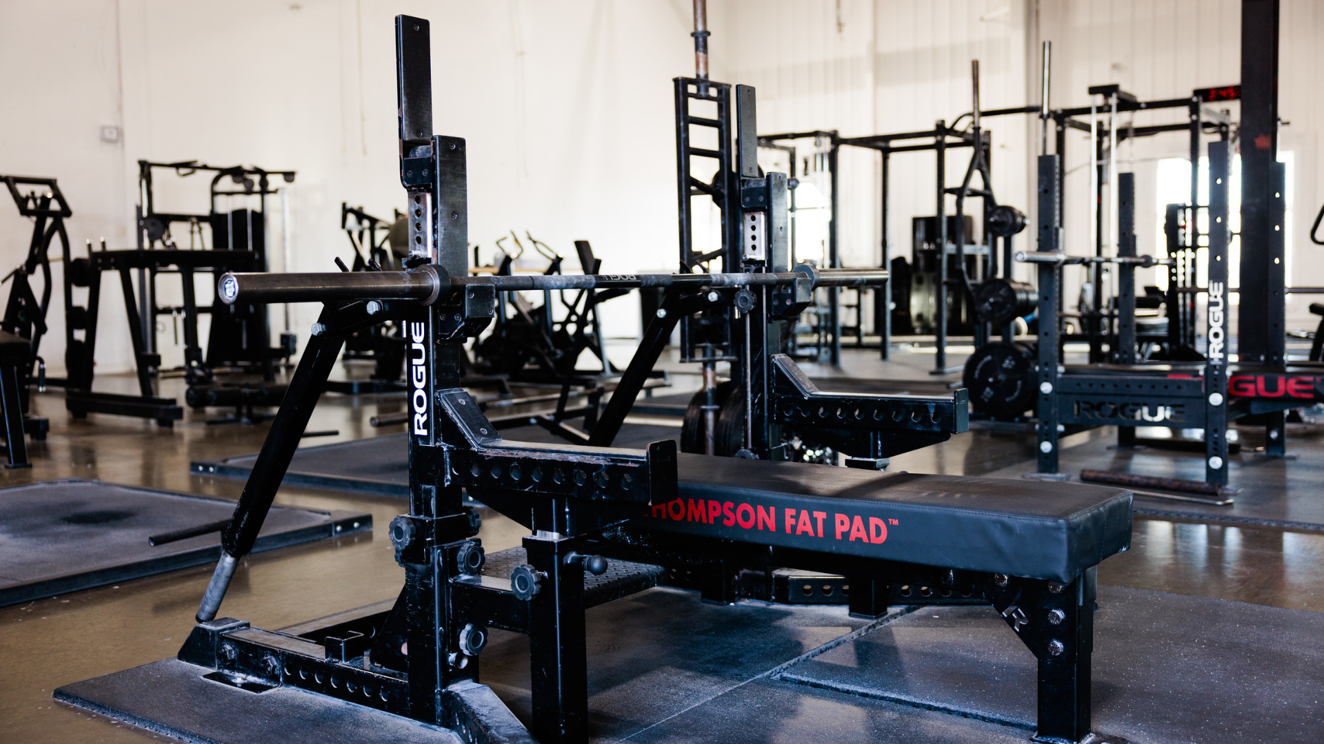 Barbells and rack setup